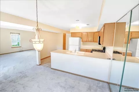 Other - 319 E Theodore Ln, Itasca, IL 60143 photo 3 of 6