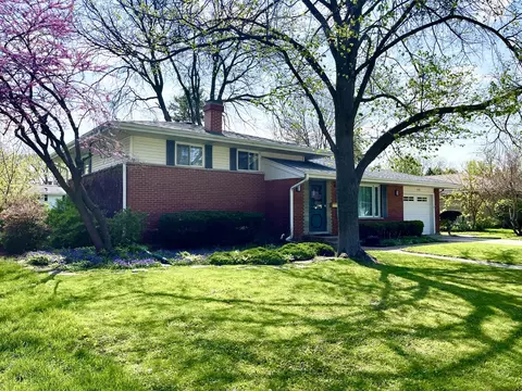 Undisclosed, Mount Prospect, IL 60056