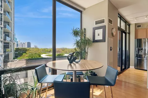 233 E 13th St #701, Chicago, IL 60605 photo 11