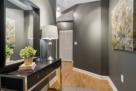 233 E 13th St #701, Chicago, IL 60605 photo 3
