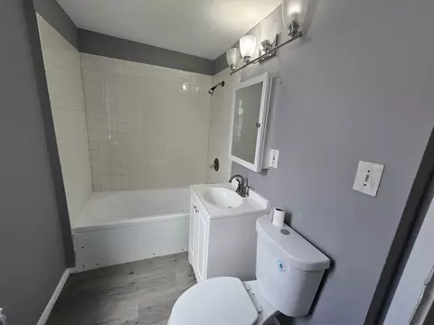 Bath - 8607 S Lowe Ave, Chicago, IL 60620 photo 1 of 2