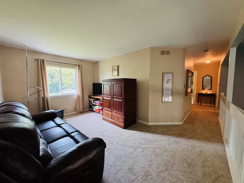 175 Davis Ct, Round Lake Park, IL 60073 photo 19