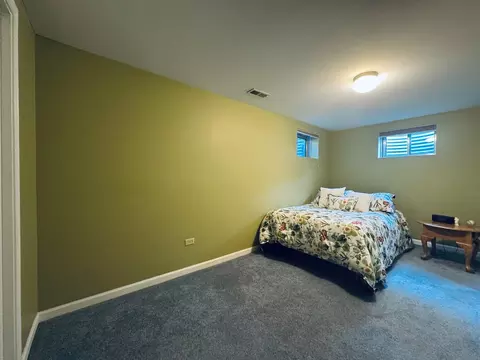 175 Davis Ct, Round Lake Park, IL 60073 photo 29