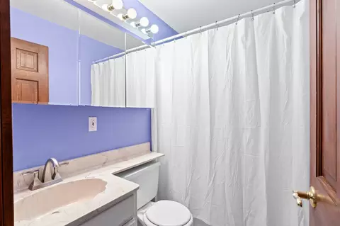 Bath - 208 Ridge St, Algonquin, IL 60102 photo 3 of 3