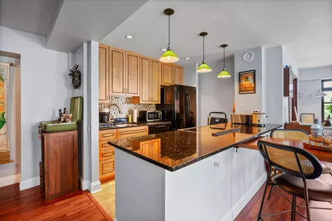40 E 9th St #302, Chicago, IL 60605 photo 7