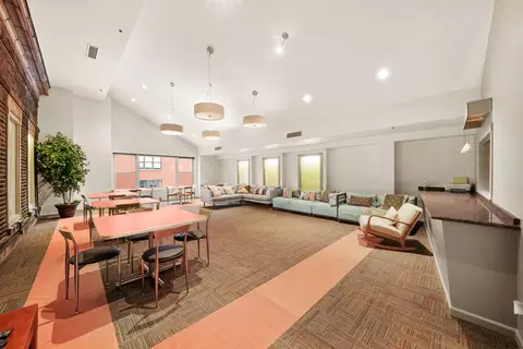 40 E 9th St #302, Chicago, IL 60605 photo 22