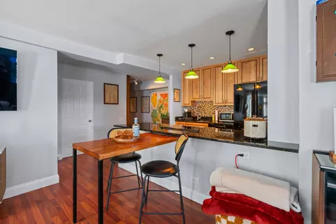 40 E 9th St #302, Chicago, IL 60605 photo 10