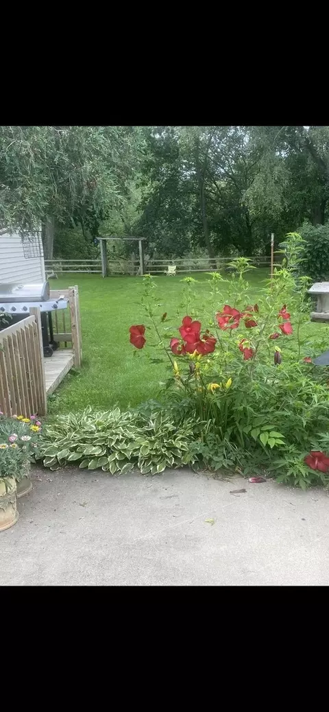 206 Walnut St, Cherry Valley, IL 61016 photo 37