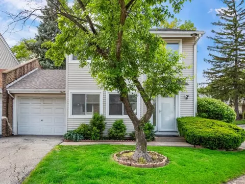 1247 E Canterbury Trl #63, Palatine, IL 60074