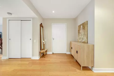 Entry Way - 40 E 9th St #716, Chicago, IL 60605 photo 2 of 3