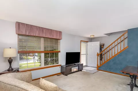 26244 S Cherry Ln, Monee, IL 60449 photo 4