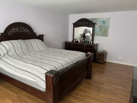 11614 S Decathalon Ln, Plainfield, IL 60585 photo 9