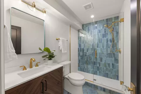 Bath - 6 Charleton Pl, Oak Brook, IL 60523 photo 1 of 11