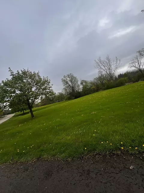 30 W201 Dean Ct, Wayne, IL 60184