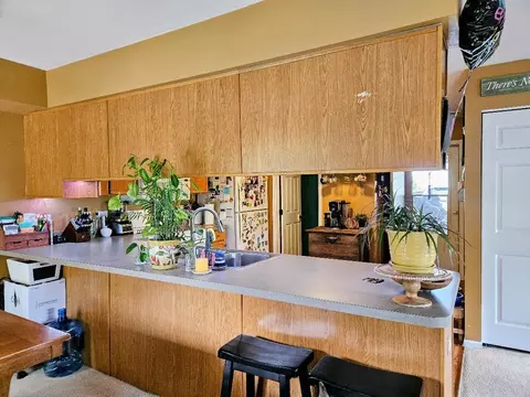 Kitchen - 25159 Faraday Rd, Manhattan, IL 60442 photo 2 of 4