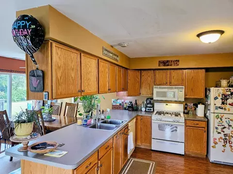 Kitchen - 25159 Faraday Rd, Manhattan, IL 60442 photo 4 of 4