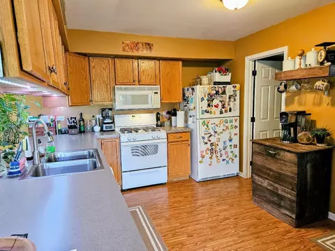 Kitchen - 25159 Faraday Rd, Manhattan, IL 60442 photo 3 of 4