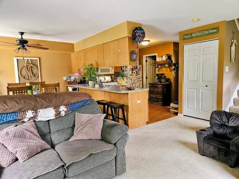 Living - 25159 Faraday Rd, Manhattan, IL 60442 photo 3 of 3