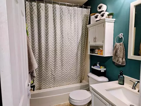 Bath - 25159 Faraday Rd, Manhattan, IL 60442 photo 3 of 3