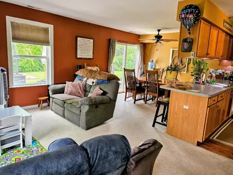 Living - 25159 Faraday Rd, Manhattan, IL 60442 photo 2 of 3
