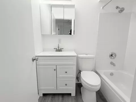 Bath - 217 Davis Ln, Bolingbrook, IL 60440 photo 1 of 2