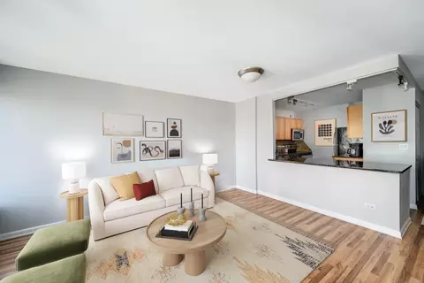 30 E Huron St #4108, Chicago, IL 60611 photo 5