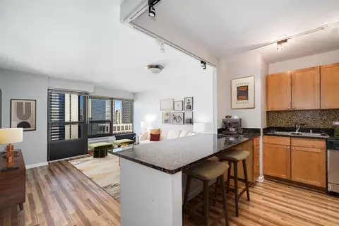30 E Huron St #4108, Chicago, IL 60611 photo 7