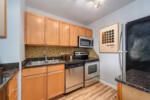 30 E Huron St #4108, Chicago, IL 60611 photo 9