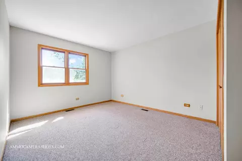 211 Lorien Ct, East Dundee, IL 60118 photo 11