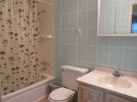 Bath - 321 Maple Dr, Morris, IL 60450 photo 2 of 4