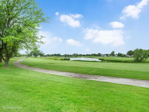 View/Area - 21142 W Braxton Ln #21142, Plainfield, IL 60544 photo 1 of 4