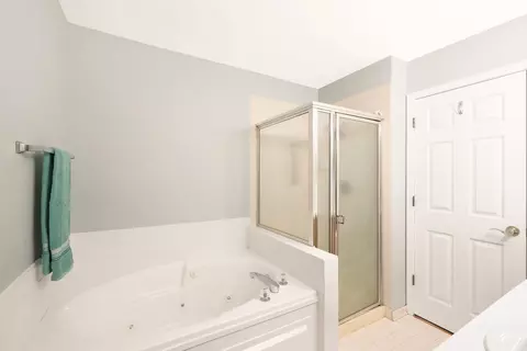 Bath - 876 Dandridge Ct, Elgin, IL 60120 photo 3 of 5
