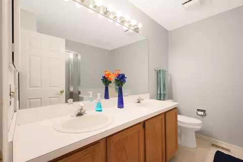 Bath - 876 Dandridge Ct, Elgin, IL 60120 photo 2 of 5