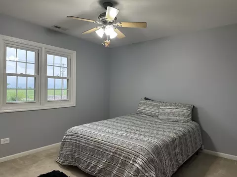 445 Spring Park Loop, Bourbonnais, IL 60914 photo 18