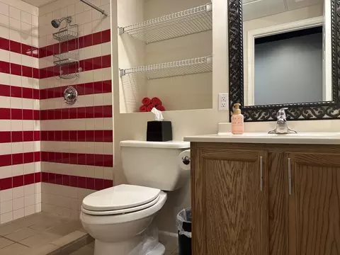 445 Spring Park Loop, Bourbonnais, IL 60914 photo 34