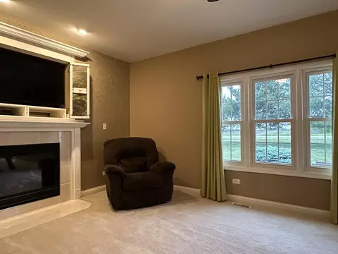 445 Spring Park Loop, Bourbonnais, IL 60914 photo 11