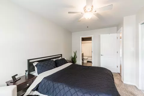 Bedroom - 335 Marcia Ct #D, Bartlett, IL 60103 photo 2 of 3
