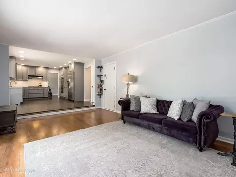 Living - 421 S River Rd, Naperville, IL 60540 photo 6 of 7