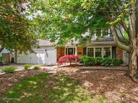 Exterior - 421 S River Rd, Naperville, IL 60540 photo 5 of 5