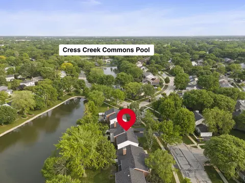 View/Area - 1209 W Bauer Rd, Naperville, IL 60563 photo 4 of 13
