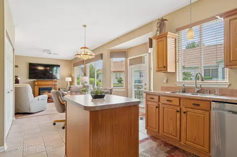 21513 W Douglas Ln, Plainfield, IL 60544 photo 9