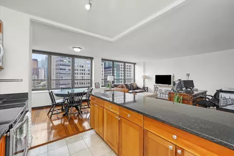 222 E Pearson St #1504, Chicago, IL 60611 photo 11