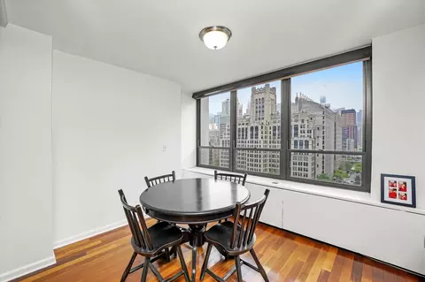 222 E Pearson St #1504, Chicago, IL 60611 photo 9