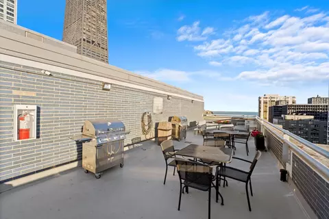 222 E Pearson St #1504, Chicago, IL 60611 photo 15