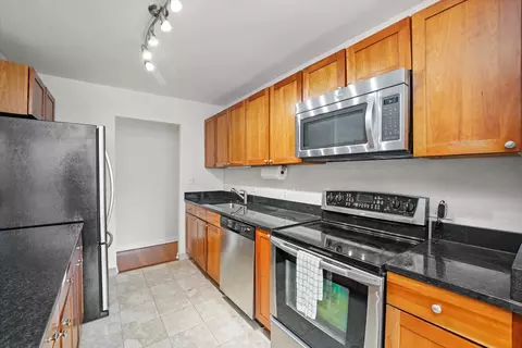 222 E Pearson St #1504, Chicago, IL 60611 photo 10