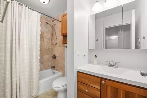 222 E Pearson St #1504, Chicago, IL 60611 photo 14