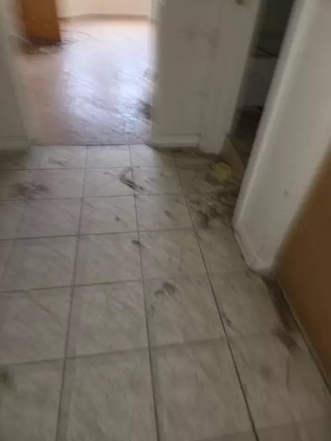 Entry Way - 8408 S Baker Ave, Chicago, IL 60617 photo 1 of 1