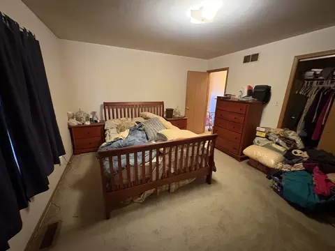 6501 Walter Adamic Ln, Plainfield, IL 60586 photo 5