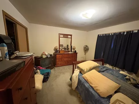 6501 Walter Adamic Ln, Plainfield, IL 60586 photo 6