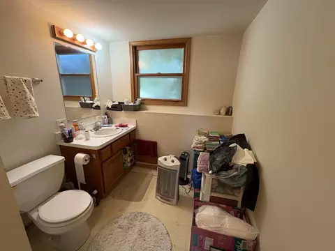 6501 Walter Adamic Ln, Plainfield, IL 60586 photo 3